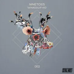 Whaddup Kid - Single by Ninetoes album reviews, ratings, credits