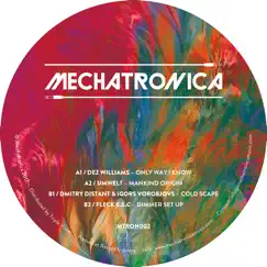 Mechatronica 2 - EP by Dez Williams, fleck E.S.C, Igors Vorobjovs, Dmitry Distant & Umwelt album reviews, ratings, credits