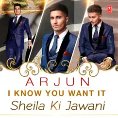 I Know You Want It (Sheila Ki Jawani) Song Lyrics