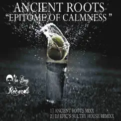 Epitome of Calmness (Ancient Roots Mixx) Song Lyrics