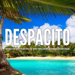 Despacito (Originally Performed by Luis Fonsi feat. Daddy Yankee) [Karaoke Instrumental Version] Song Lyrics