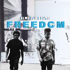 Freedom (feat. Louis VI) Song Lyrics