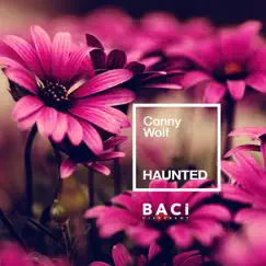 Haunted - Single by Conny Wolf album reviews, ratings, credits