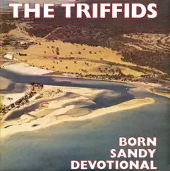 Born Sandy Devotional by The Triffids album reviews, ratings, credits