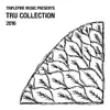TRU Collection 2016 album lyrics, reviews, download
