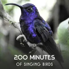 200 Minutes of Singing Birds – Best Nature Sounds for Relaxation, Calming Music from Garden & Forest, Reach Peace of Mind, Stress Relief by Harmony Nature Sounds Academy album reviews, ratings, credits