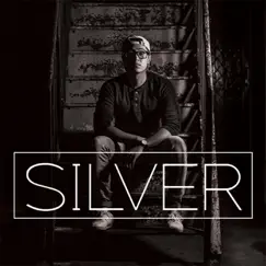 Silver - Single by Glenn Lumanta album reviews, ratings, credits