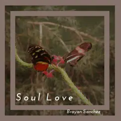 Soul Love - Single by Brayan Sanchez album reviews, ratings, credits