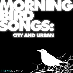 Morning Bird Songs (City and Urban Recordings) by Prime Sound album reviews, ratings, credits