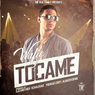 Download Tocame Wafic MP3