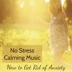No Stress Calming Music - How to Get Rid of Anxiety by Meditation Relax Club album reviews, ratings, credits