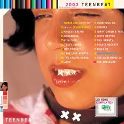 2003 Teenbeat Sampler by Various Artists album reviews, ratings, credits