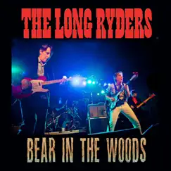 Bear in the Woods - Single Song Lyrics
