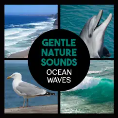 Gentle Nature Sounds – Ocean Waves, Calming Music for Relaxation, Healing Waters, Deep Sleep, Yoga, Zazen Meditation by Various Artists album reviews, ratings, credits