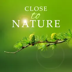 Close to Nature: Best Zen Music to Gain More Power and Vitality in Your Life (Spa, Yoga, Massage, Pilates and Sleep Helper) by Natural Healing Spa album reviews, ratings, credits