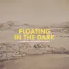 Floating in the Dark - Single album lyrics, reviews, download