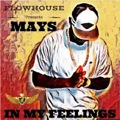 In My Feelings by Brandon Mays album reviews, ratings, credits