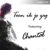 Toen Ik Je Zag (feat. Chantal) - Single album lyrics, reviews, download