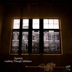 Looking Through Windows by Zymotic album reviews, ratings, credits