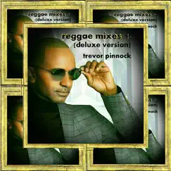 Take a Chance (Reggae Remix) Song Lyrics