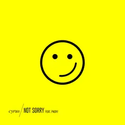 Not Sorry (feat. Packy) - Single by Cyrus album reviews, ratings, credits
