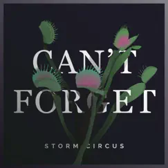 Can't Forget - Single by Storm Circus album reviews, ratings, credits