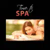 Time to Spa: The Most Relaxing Music for Wellness, Soft Zen Therapy, Traditional Balinese Spa & Massage, Center of Beauty, Pure Reflexology album lyrics, reviews, download