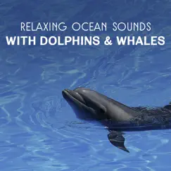 Relaxing Ocean Sounds with Dolphins & Whales Song Lyrics