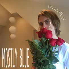 Mostly Blue - EP by Wellness album reviews, ratings, credits