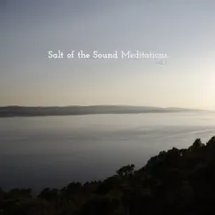 Meditations, Vol. 1 by Salt Of The Sound album reviews, ratings, credits