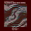 Telekinetic (Wild Boyz! Remix) - Single album lyrics, reviews, download