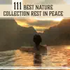 111 Best Nature Collection Rest in Peace - Find Harmony in Delicate Sounds, Relaxation Bliss, Liquid Ambient, Calm Spirit (Sleep, Meditation, Yoga, Spa) album lyrics, reviews, download