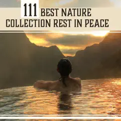 111 Best Nature Collection Rest in Peace - Find Harmony in Delicate Sounds, Relaxation Bliss, Liquid Ambient, Calm Spirit (Sleep, Meditation, Yoga, Spa) by Relaxation Academy album reviews, ratings, credits