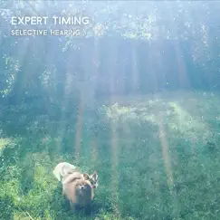 Selective Hearing - EP by Expert Timing album reviews, ratings, credits