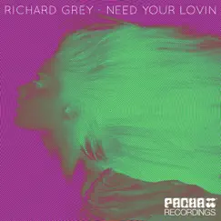 Need Your Lovin (Frank Caro & Alemany Remix) Song Lyrics