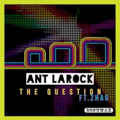 The Question (feat. Zhao) [Main Radio Edit] Song Lyrics