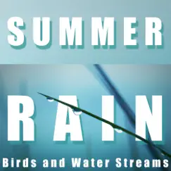 Summer Rain Ends With Birds Song Lyrics
