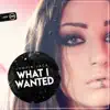 What I Wanted - Single album lyrics, reviews, download