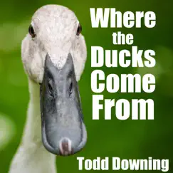 Where the Ducks Come From Song Lyrics