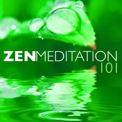 Zen Meditation 101 - Ambient Calm Sounds of Nature White Noise for Positive Thinking by Zen Music Garden album reviews, ratings, credits