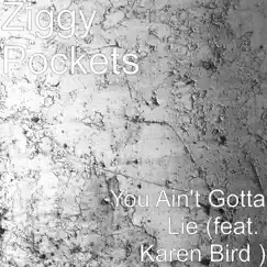 You Ain't Gotta Lie (feat. Karen Bird) Song Lyrics