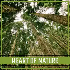 Heart of Nature (Waterfall) Song Lyrics