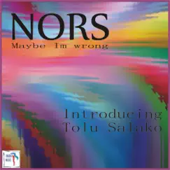 Maybe I'm Wrong (feat. Tolu Salako) - Single by Nors album reviews, ratings, credits