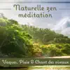 Naturelle zen méditation: Vagues, Pluie & Chant des oiseaux, Belle nature, Paix intérieure, Yoga, Reiki, Chakra équilibrage album lyrics, reviews, download