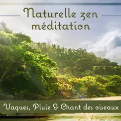 Naturelle zen méditation: Vagues, Pluie & Chant des oiseaux, Belle nature, Paix intérieure, Yoga, Reiki, Chakra équilibrage by Aide Au Sommeil Académie album reviews, ratings, credits