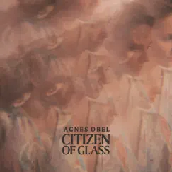 Citizen of Glass (Instrumental) - Single by Agnes Obel album reviews, ratings, credits