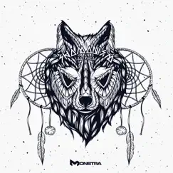 Shamanism - Single by Ad Voca album reviews, ratings, credits