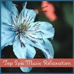 Top Spa Music Relaxation Song Lyrics