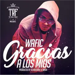 Gracias a los Mios - Single by Wafic album reviews, ratings, credits