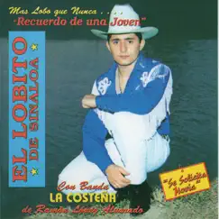 Se Solicita Novia by El Lobito de Sinaloa album reviews, ratings, credits